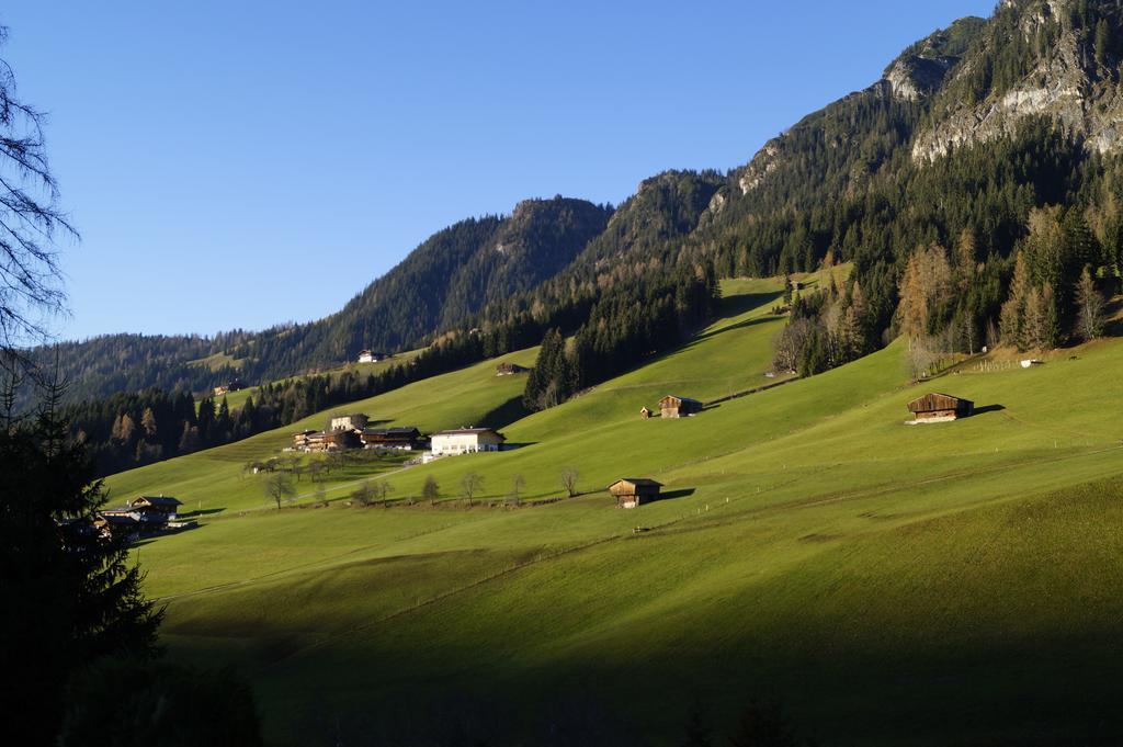 Hanslerfeld Алпбах Стая снимка