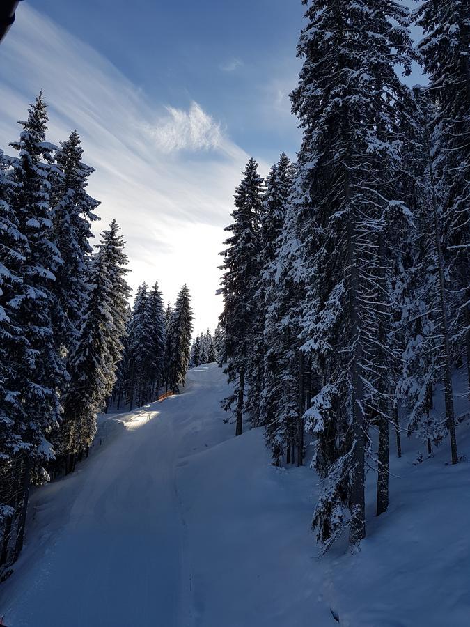 Hanslerfeld Алпбах Екстериор снимка