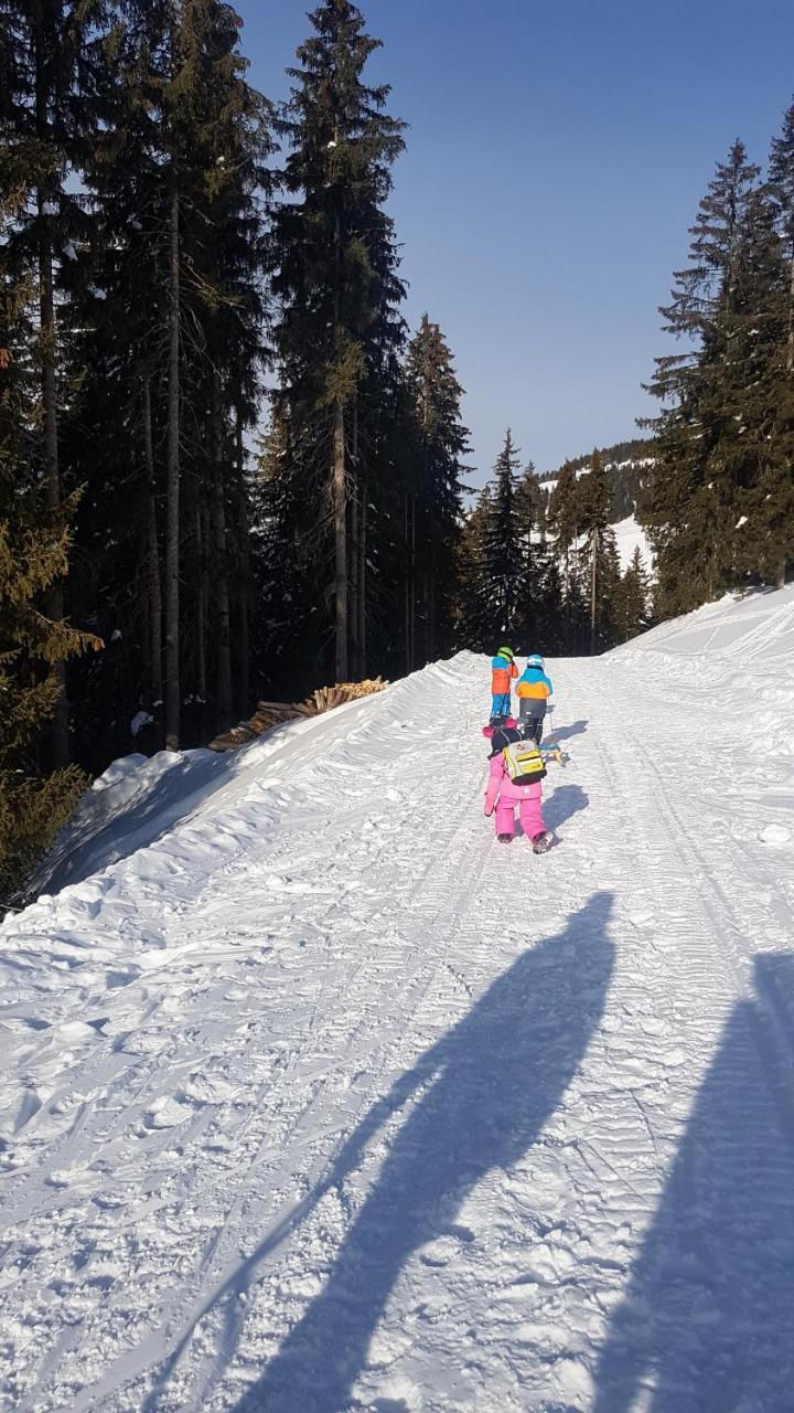 Hanslerfeld Алпбах Екстериор снимка